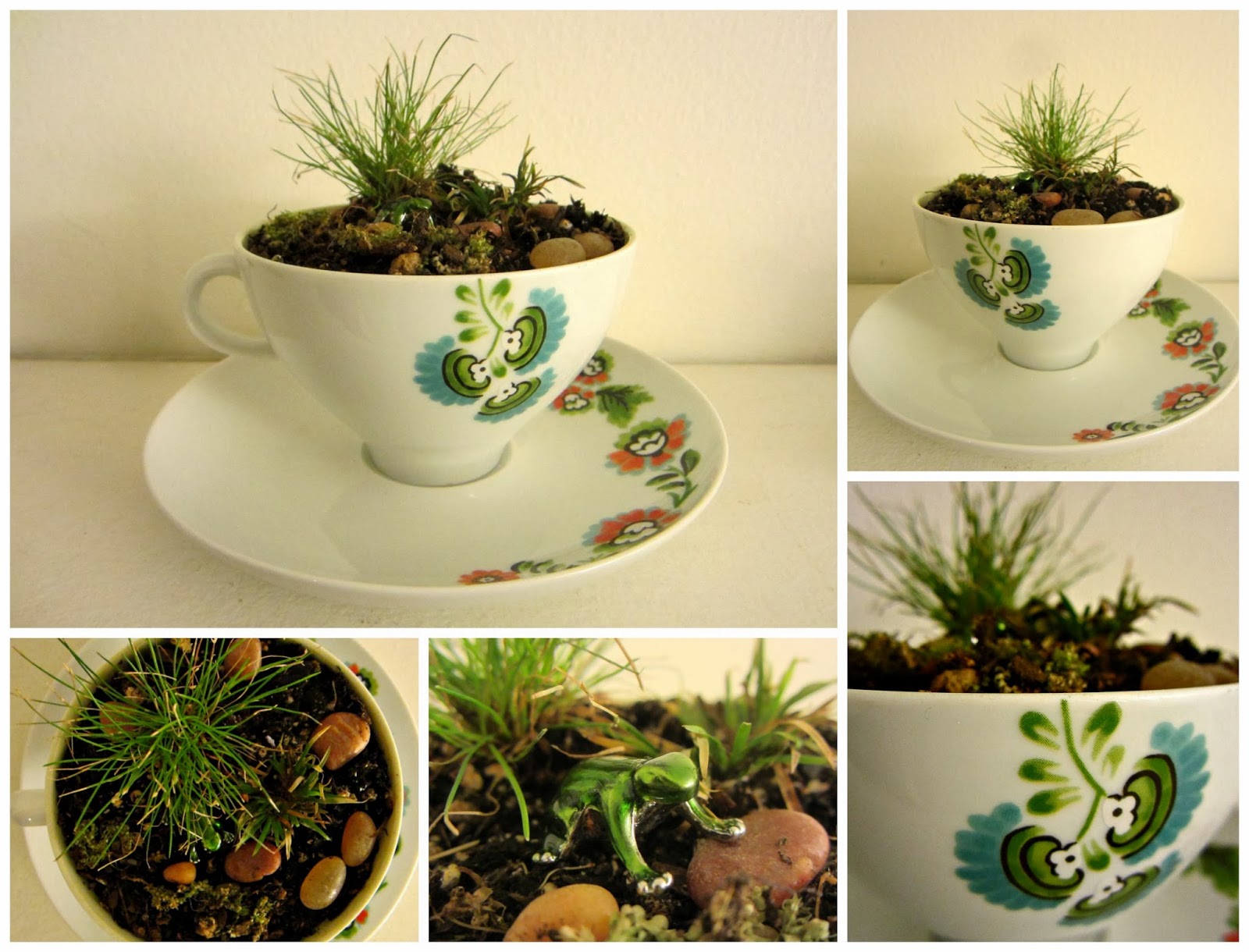 Cbus52 Columbus in a Year Teeny Teacup Garden