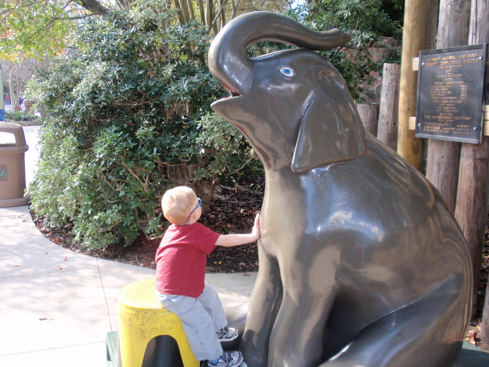 The Martin Family and Mito: Good news!