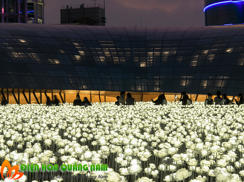 [Image: Kham-pha-vuon-hoa-hong-den-LED-o-Han-Quoc-7.png]