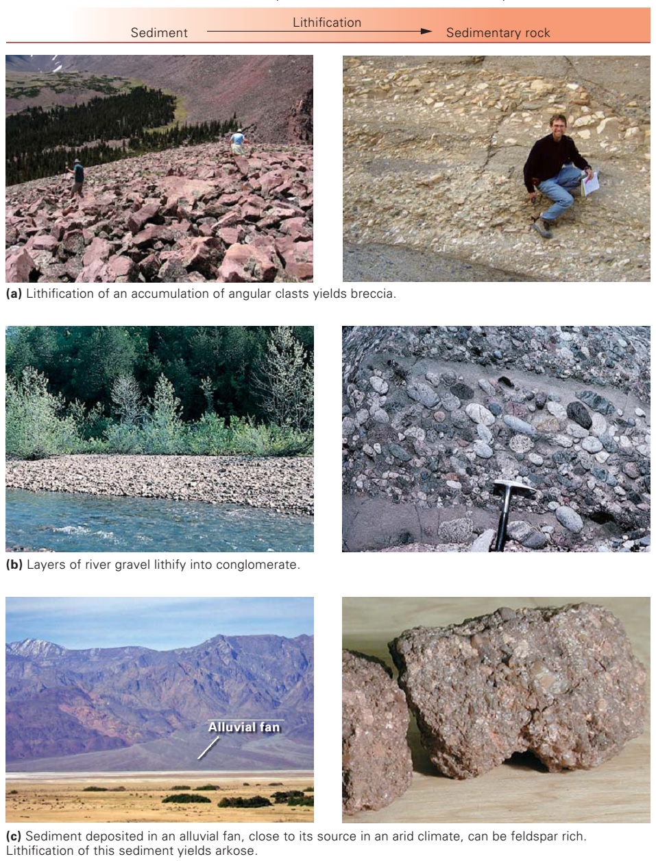 Sedimentary Rocks, Types of Sedimentary Rocks