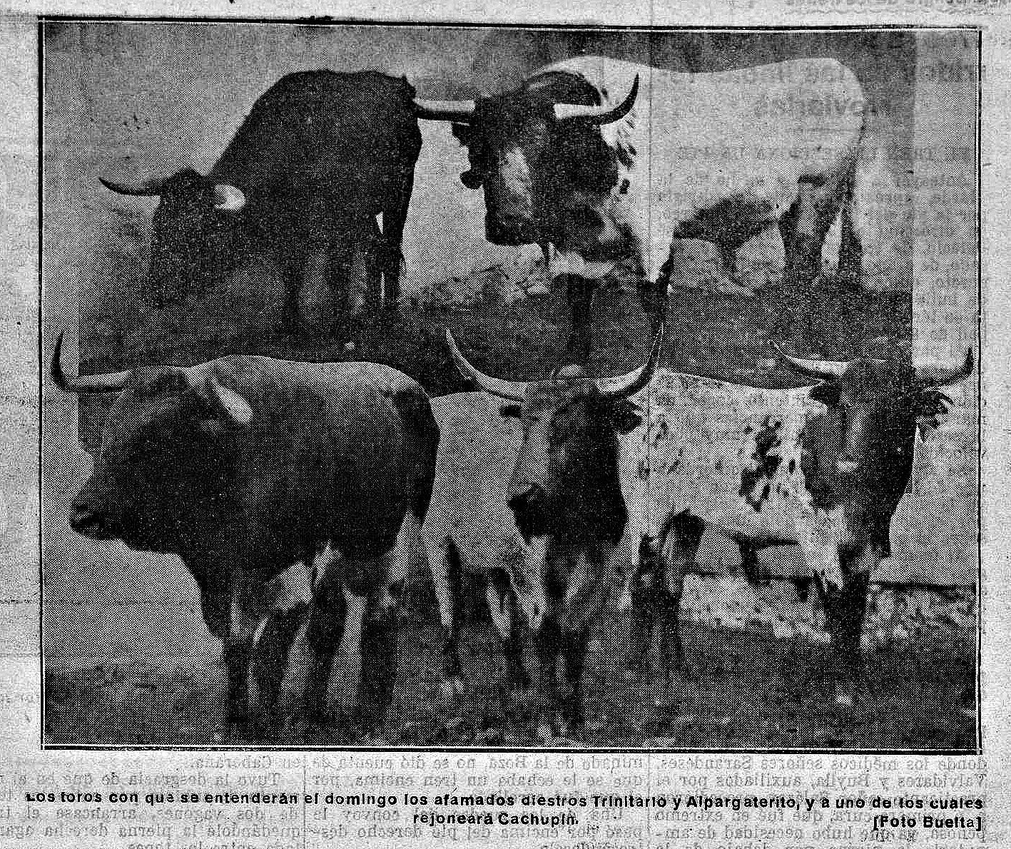 OVIEDO TOROS EN LOS CORRALES