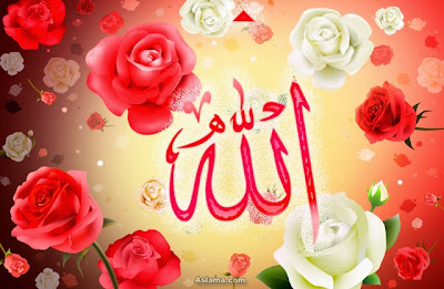 Download 700+ Wallpaper Allah Hd Flower Paling Baru Download 700+ Wallpaper Allah Hd Flower Paling Baru