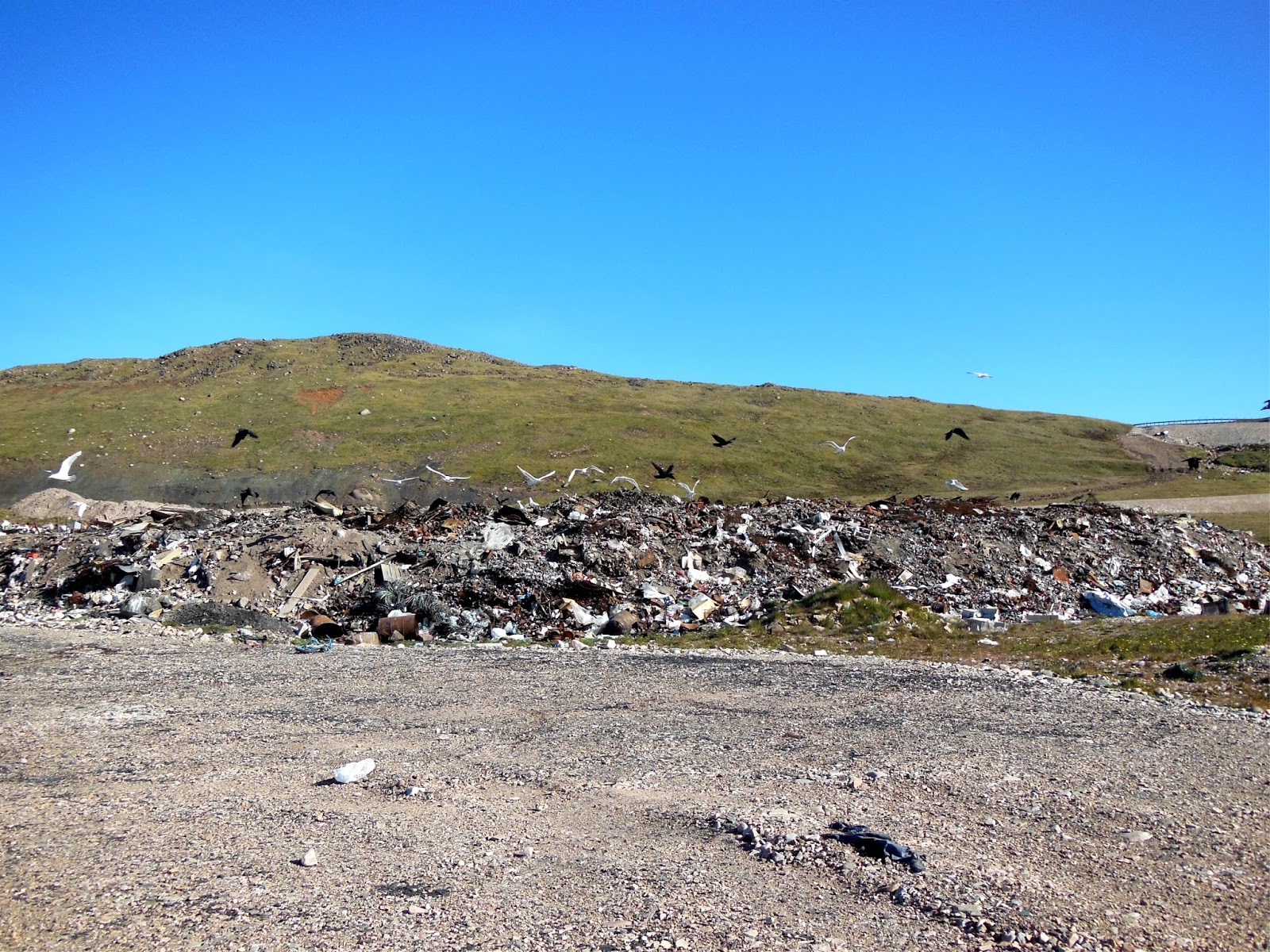 The Pocket Revisiting King