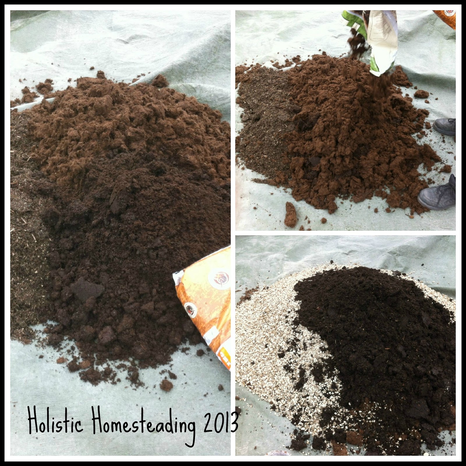 Holistic Homesteading: In the Garden Take 2 :)