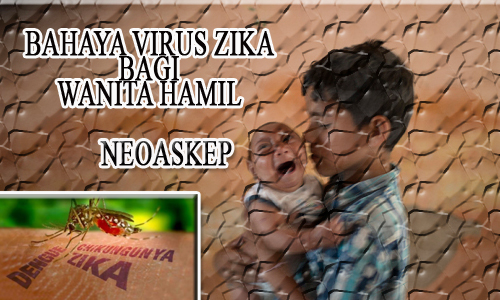 VIRUS ZIKA PADA WANITA virus zika, virus wanita hamil