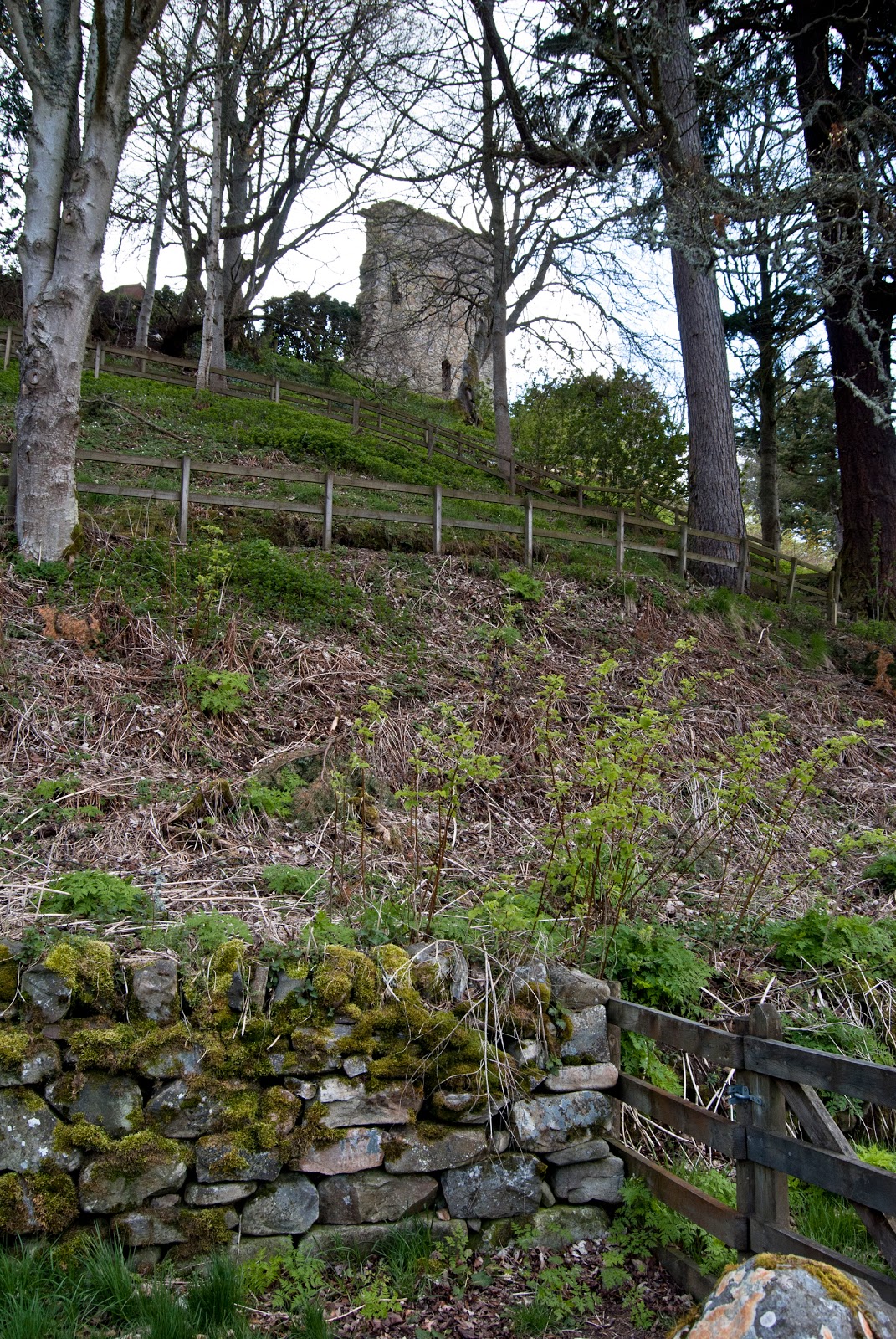 glenlivet distillery for some whiskey tasting that we noticed a castle on the map not far from the distillery and that was us decided glenlivet distillery for some whiskey tasting that we noticed a castle on the map not far from the distillery and that was us decided