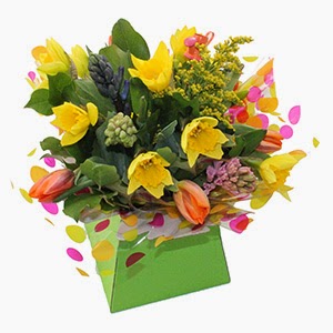 Bright Seasonal Aqua delivery in Cyprus Bright Seasonal Aqua delivery in Cyprus