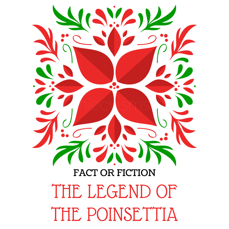 The Legend of the Poinsettia