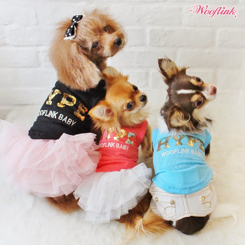 WOOFLINK Hip designer dog clothes April 2015
