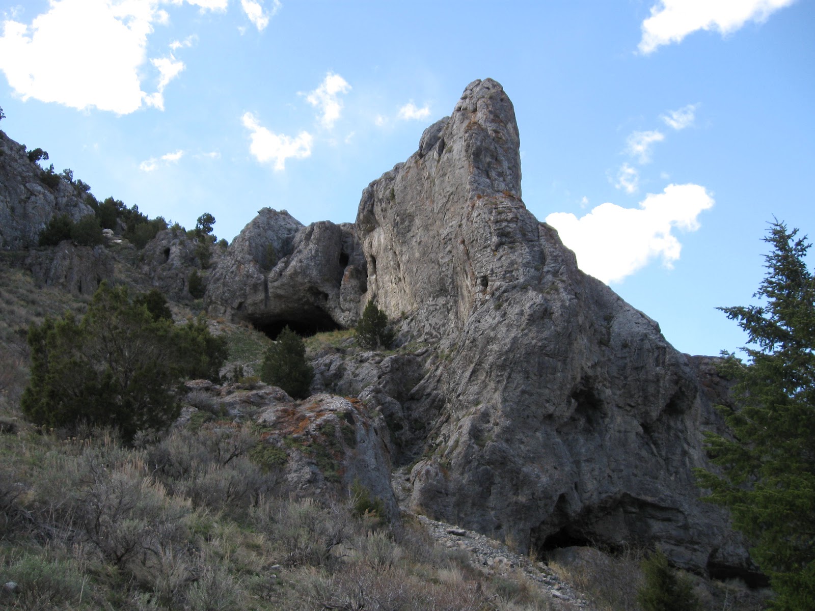 Ogden Insights Things To Do In Idaho Wolverine Canyon and Forty Horse