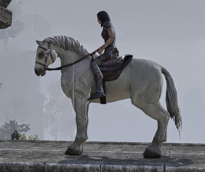 MMO2Go Mounts in Elder Scrolls