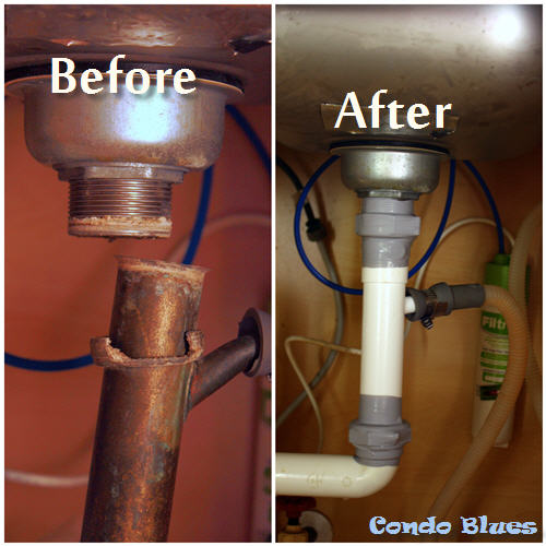 Condo Blues How To Get Rid Of Ants In A Pet And Kid Safe Natural Way Simple Ants In Kitchen Cabinets Condo Blues How To Get Rid Of Ants In A Pet And Kid Safe Natural Way Simple Ants In Kitchen Cabinets