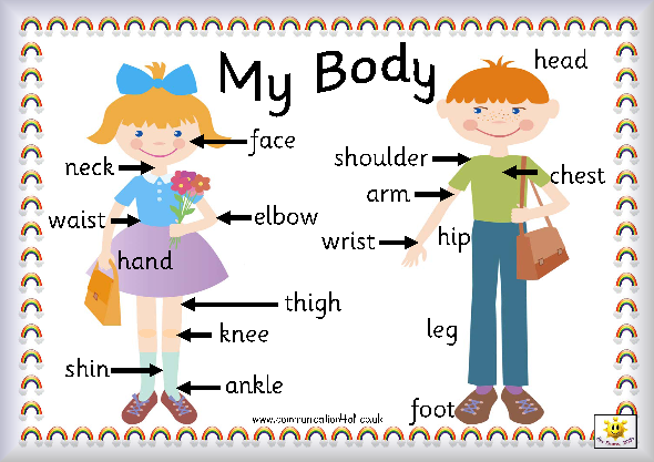 ENGLISH FOR PRIMARY LEVER 1: MY BODY PARTS