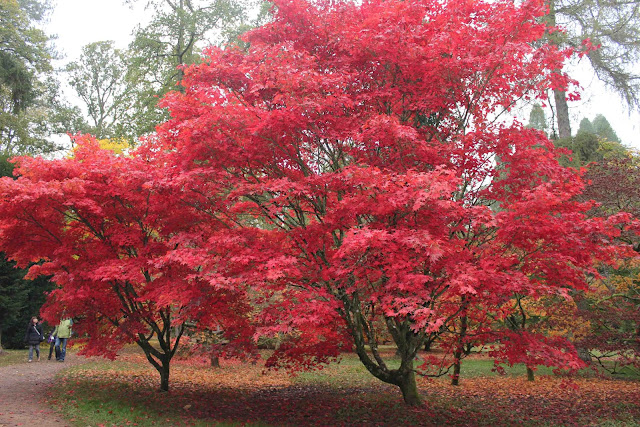 Blaze, blaze against the dying of the light…