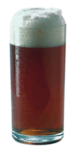 A real German alt served in a stange glass