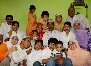 THE BIG FAMILY