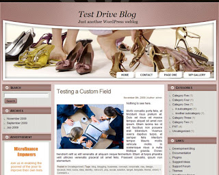 Women Shoes WP2 Wordpress Theme
