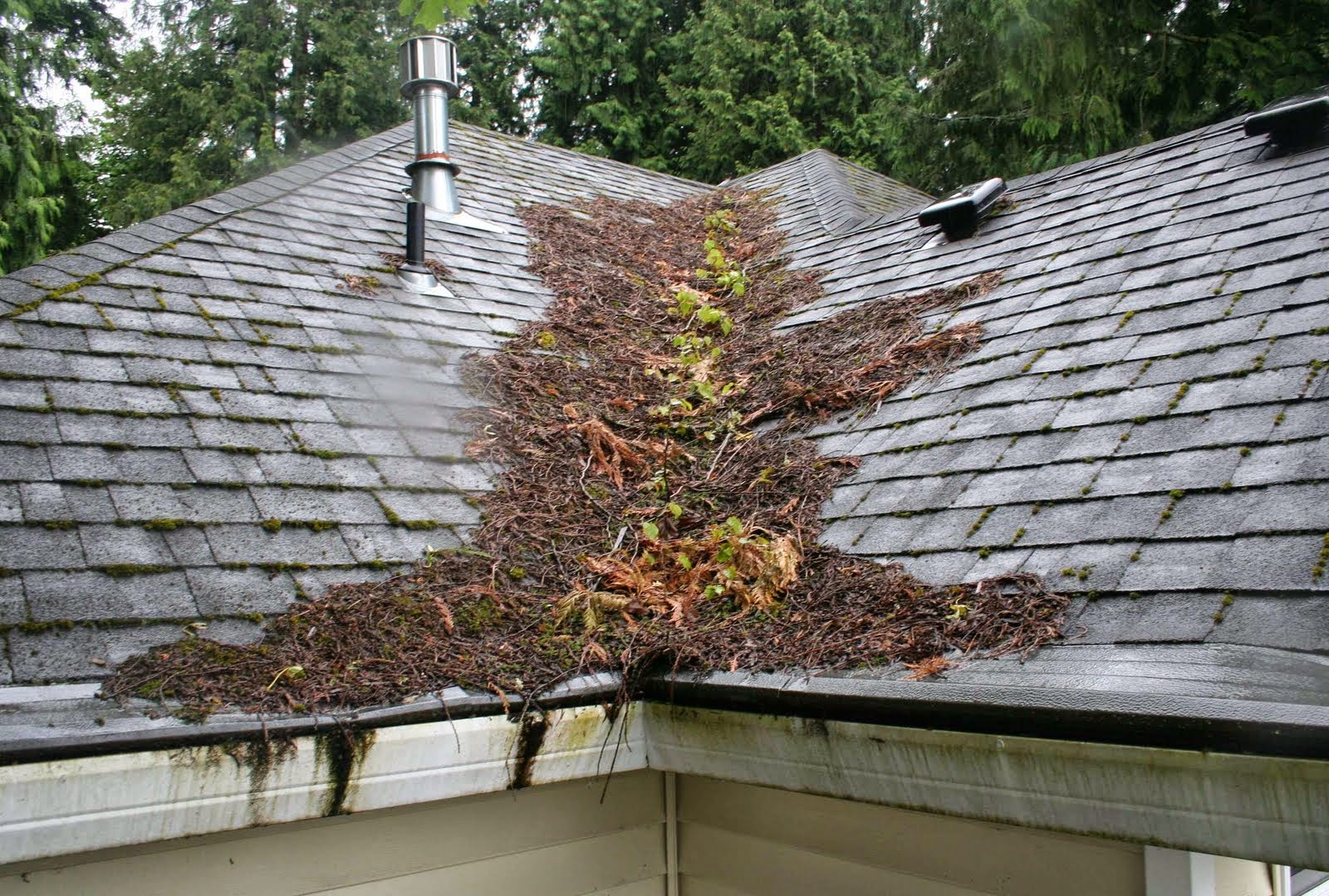 Prolong the Life of Your Roof Aspen Home Improvements Experts in