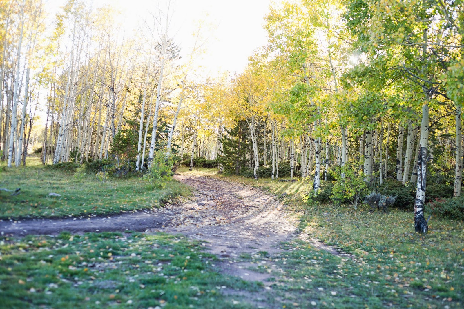 April Gailey Photography My Family Pictures At Red cloud loop