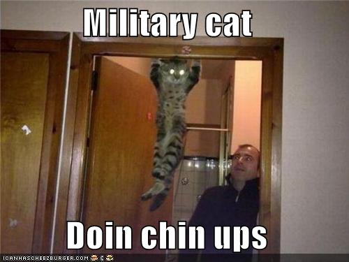 День 15. Первое подтягивание