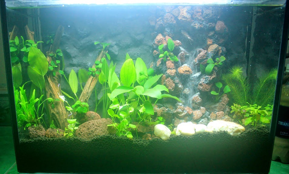 Nhận thi công hồ thủy sinh suối thác - 6