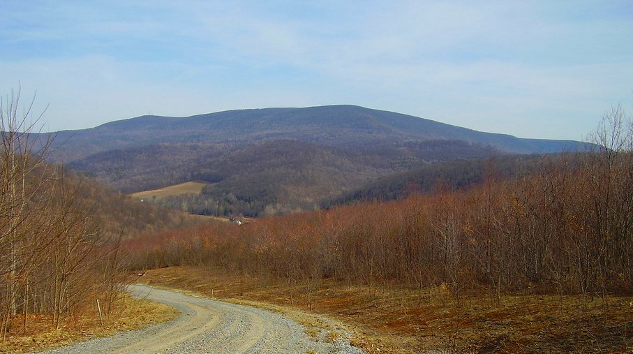 blue knob mountain