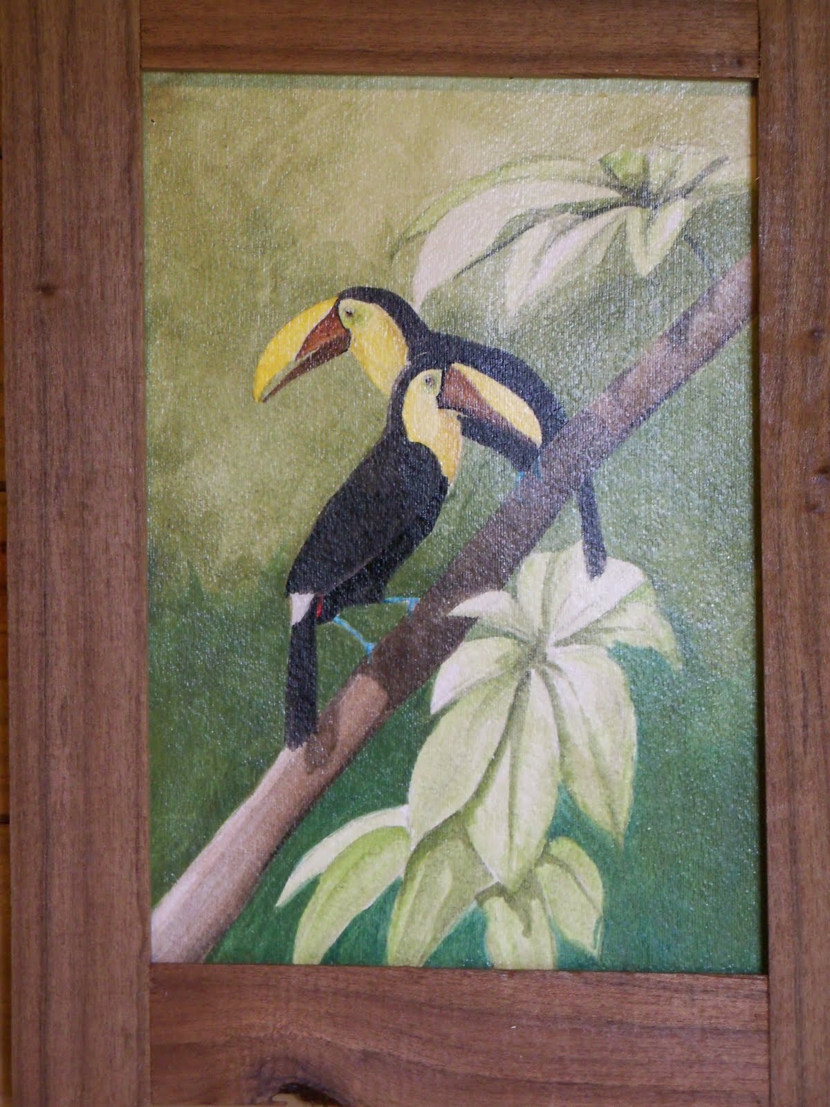 Jungle and Rainforest Art of Costa Rica Costa Rica Wildlife Paintings