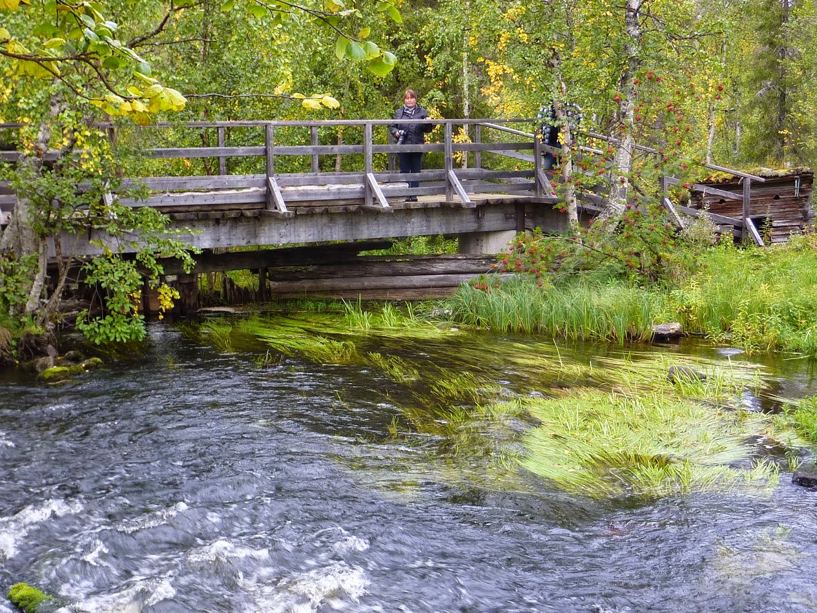 Lapin matka 8. Äkäsmylly, Ylläs ja Paka-saivo