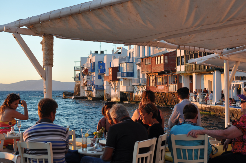 Die Küchenschabe: AUF DER INSEL