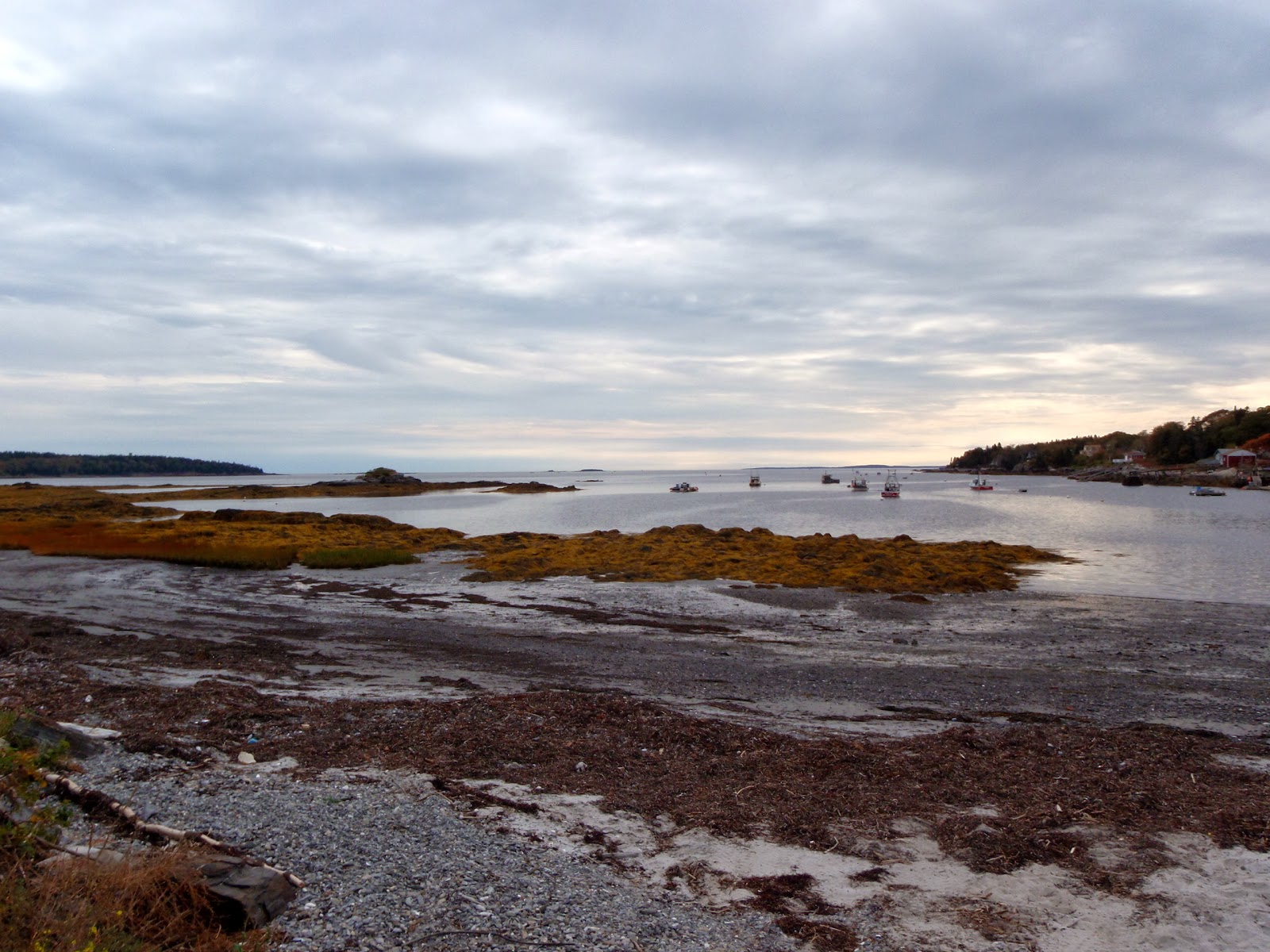 Maine, Part II home is where the boat is
