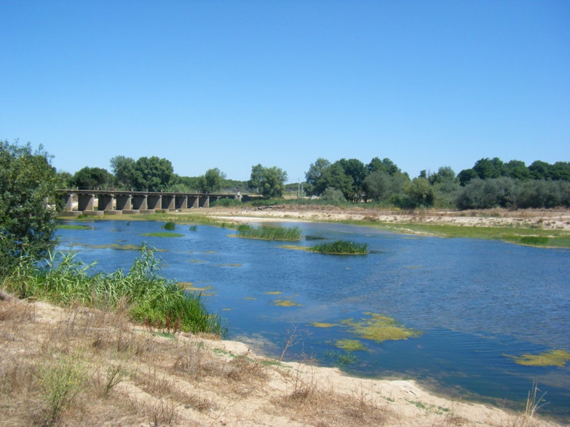Rio Sorraia com água limpa