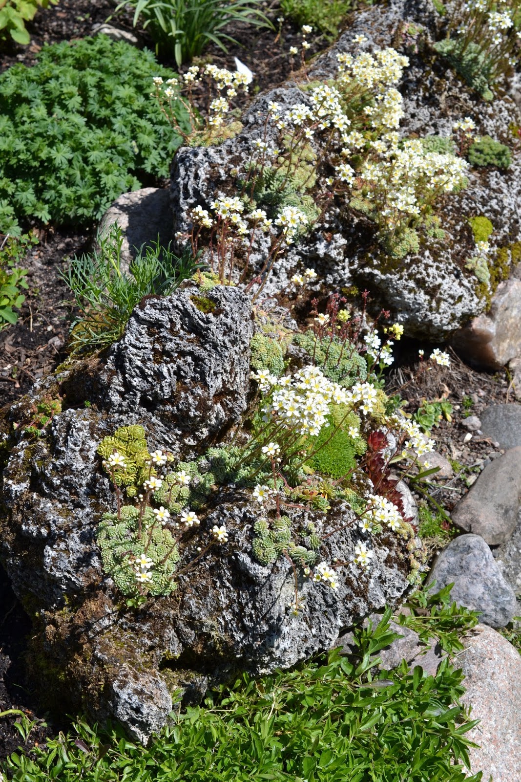 Blomsterbo: trädgårdsbesök