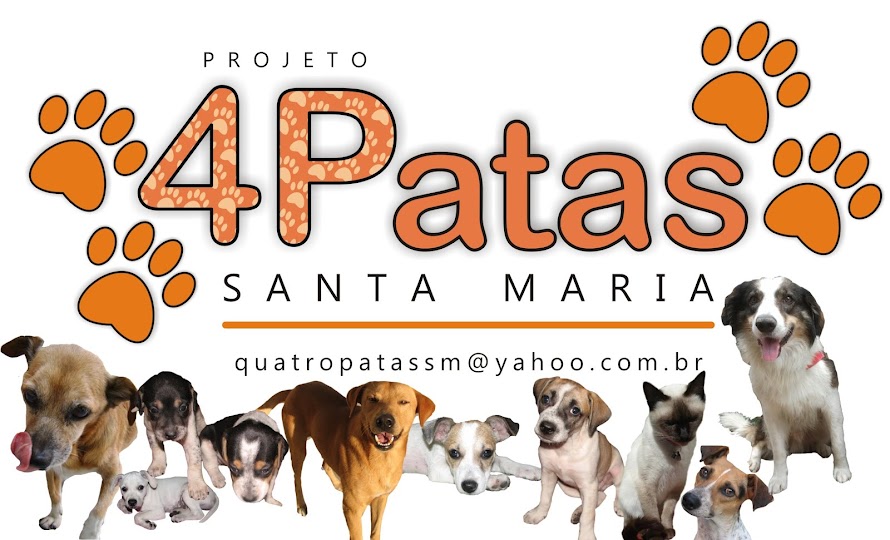 Projeto Quatro Patas