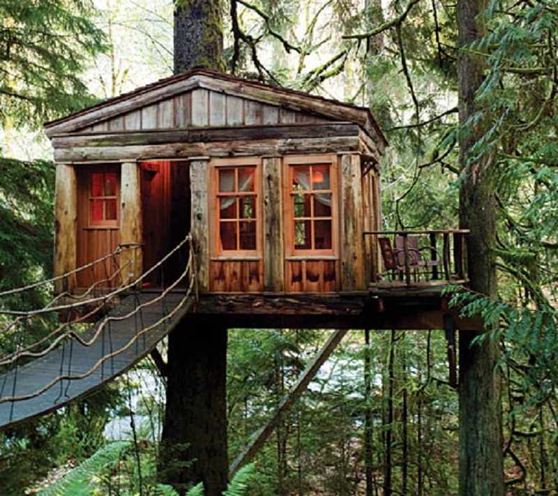 Tree House | top 20 beautiful and amazing tree house wallpapers pics Tree House | top 20 beautiful and amazing tree house wallpapers pics