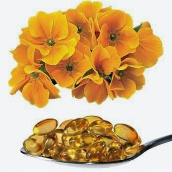 Prímula poderosa planta medicinal no combate a TPM. Saúde da Mulher ! http://www.ervasmedicinaiscuram.com/