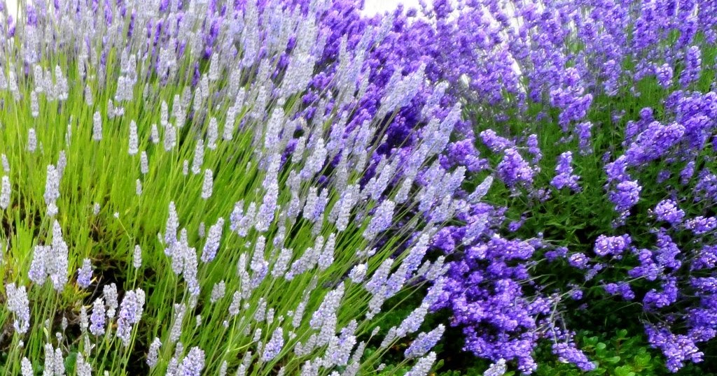 Retirement in The Villages AFTER Fulltime RVing With Rick and Orinda