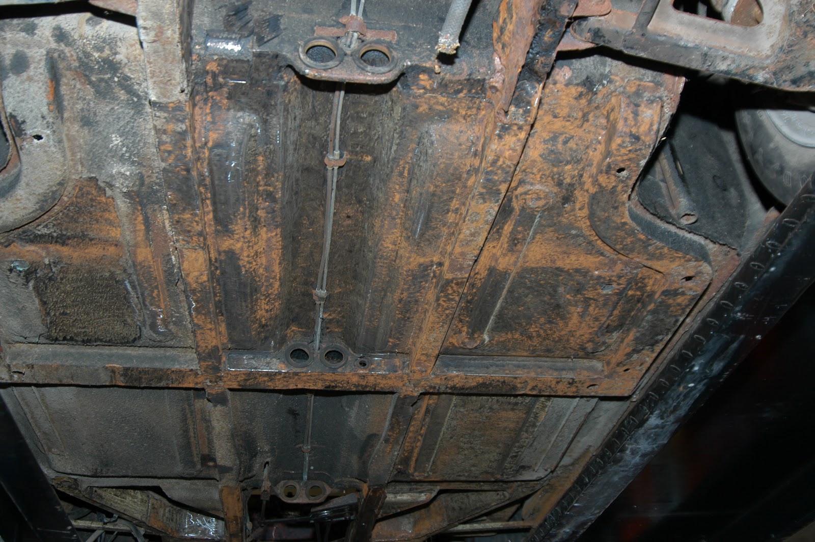 Image result for pantera underside