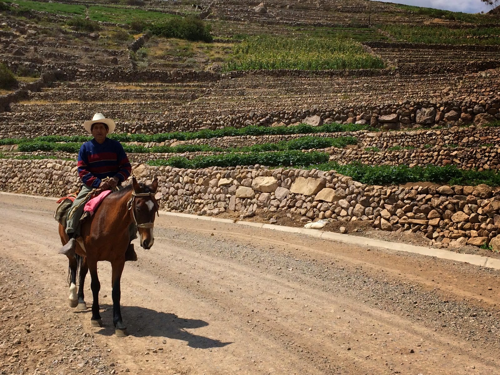 LA HORA DE LA CHALINA APEGA ADOPTA UN ANDEN PRODUCTORES DE TACNA
