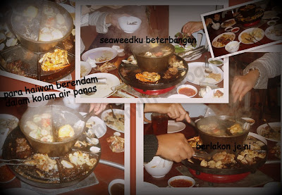 steamboat momentum of my life