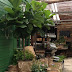 TERRAIN - PART II - The Shop