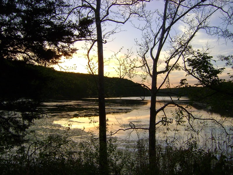 Let's Drink Coffee, Darling Greenleaf State Park (Muskogee, OK)