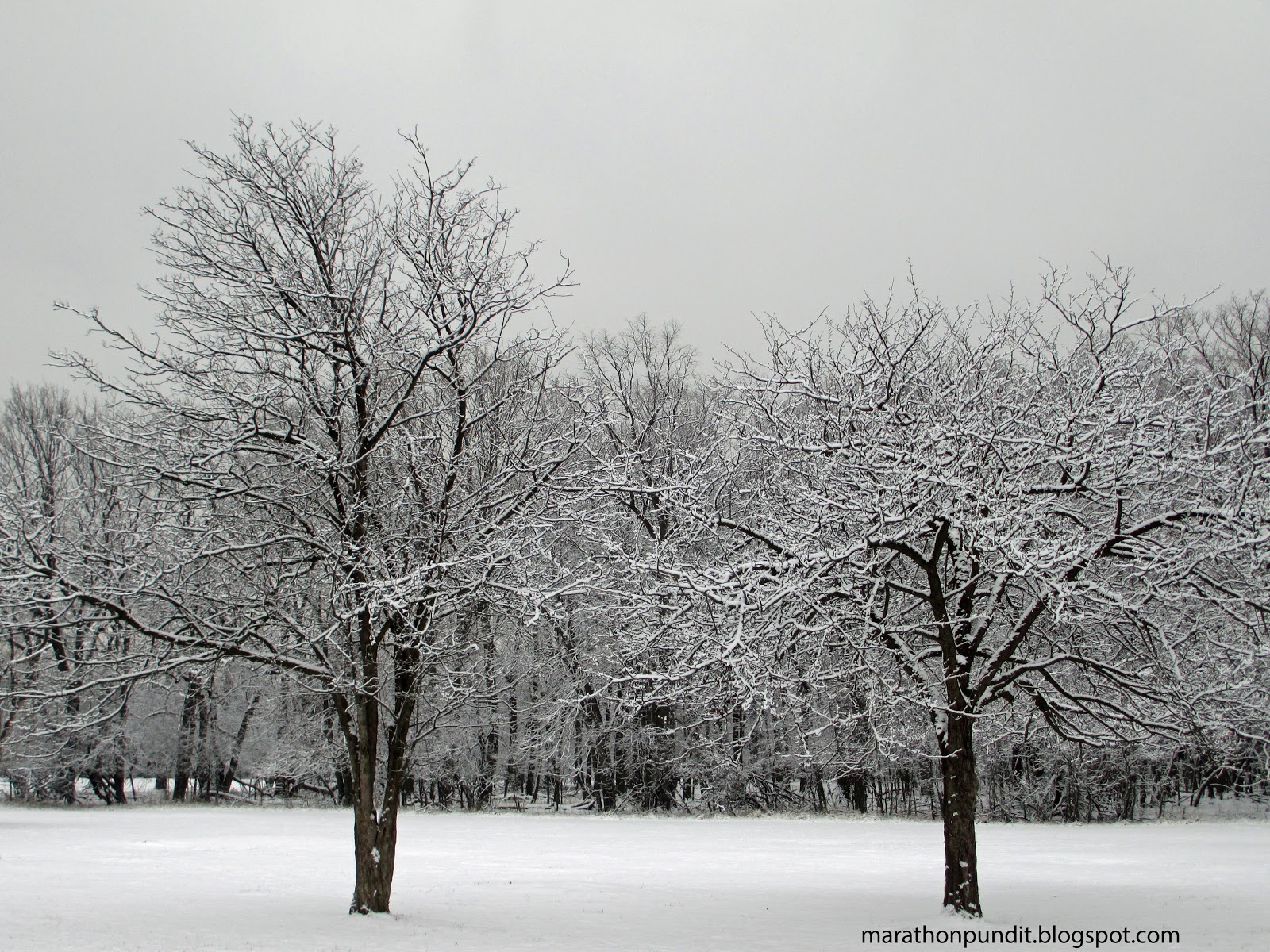 Marathon Pundit Morton Grove's St. Paul Woods after snowfall