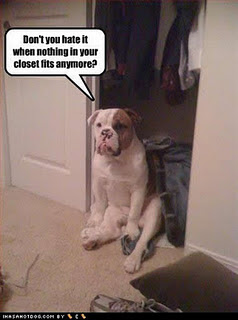 Funny Dog Pictures