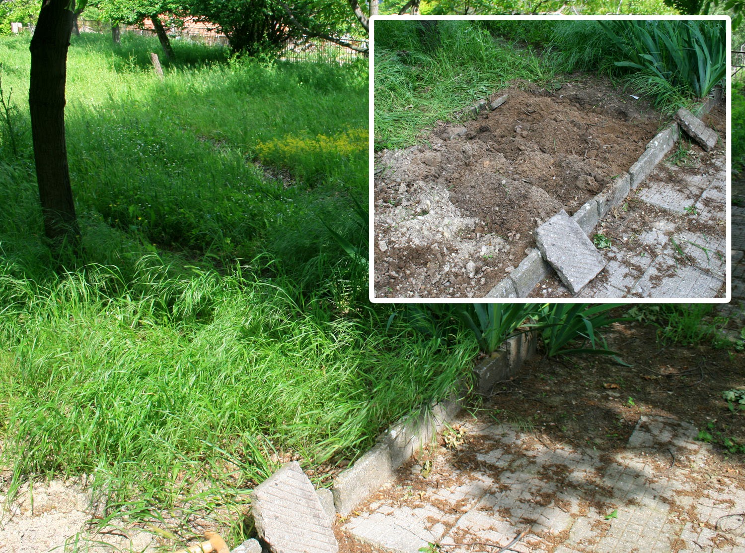 Back to digging over the flower beds Back to digging over the flower beds