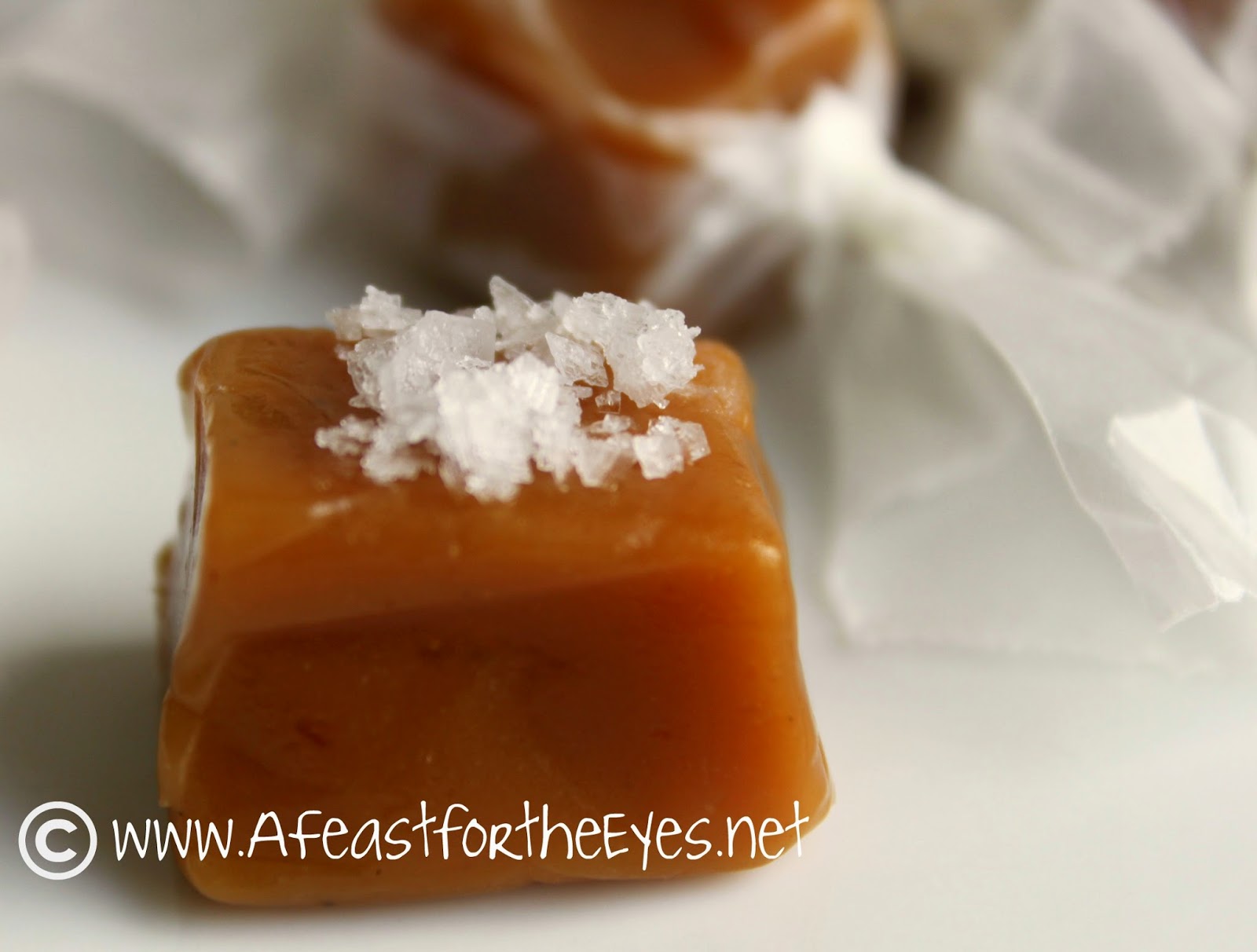 A Feast for the Eyes Creamy Dark Chocolate Caramels or Salted Vanilla Bean Caramels Two