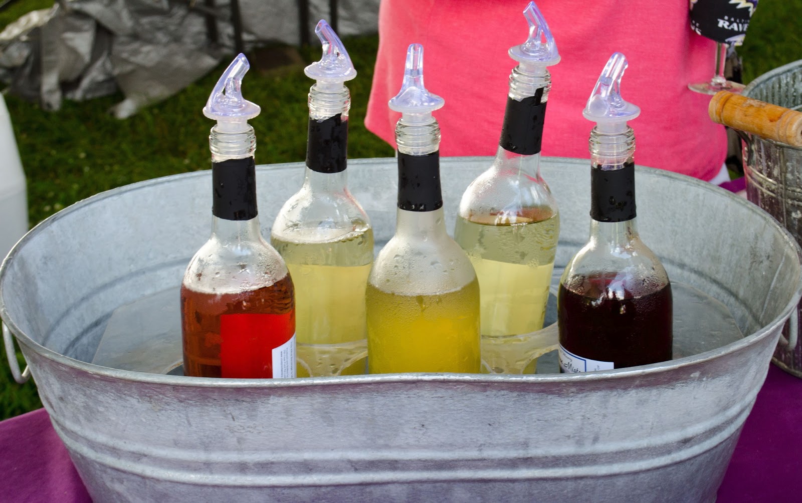 The Daily Distraction Great Grapes Wine Festival