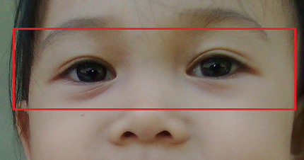 Anggota Tubuh: Gambar Mata Dan Fungsinya