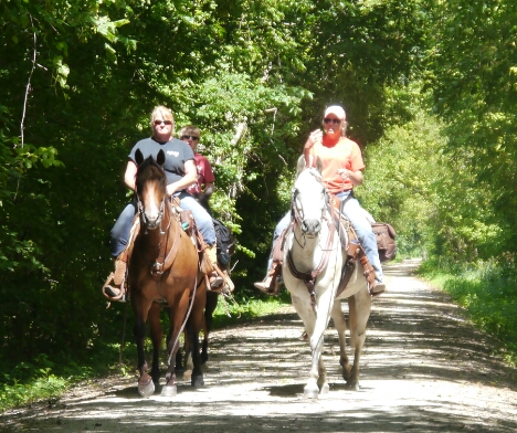 horses on the trail