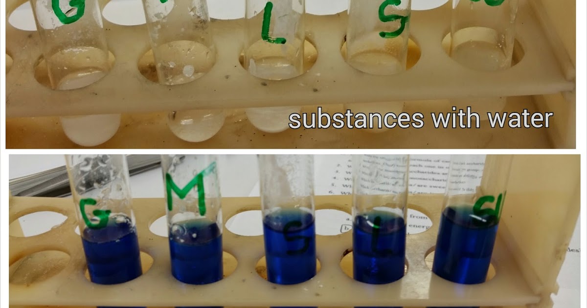 Science Lab L5. Fehling's test reducing sugars