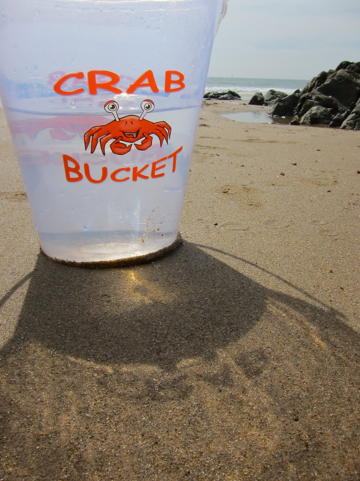 Jim's World Crab bucket